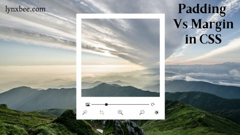 padding vs margin