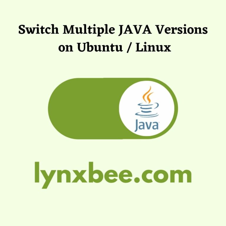 Switch Java Version