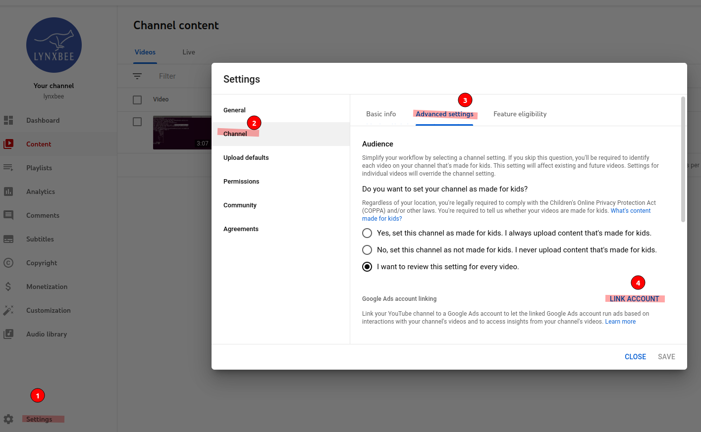 Youtube_GoogleAds